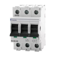 DOEPKE Hauptschalter RH 063-300