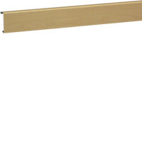 HAGER TEHALIT Oberteil SL200552D3 Dekor ahorn