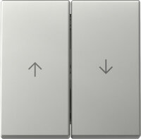 GIRA Wippe 3294600 2f Pfeil System 55 Edelstahl