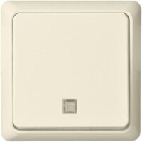 ELSO UP-Taster 252130 beleuchtet 10A RENOVIERUNG pw