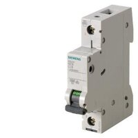 SIEMENS Leitungsschutzschalter 5SL6102-7 C2A 1polig 6kA