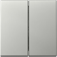 GIRA Wippe 3295600 2f System 55 Edelstahl