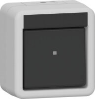 GIRA Wippschalter 310630 AusWe WG AP gr (neue Generation)