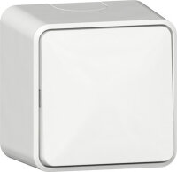 GIRA Wippschalter 310613 AusWe AP Reinweiß