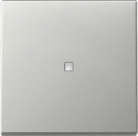 GIRA Wippe 3290600 Kontrollfenster System 55 Edelstahl
