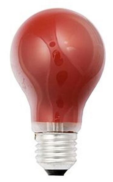 Scharnberger &amp; Hasenbein Gl&uuml;hLampe rot 230V 15W E27 40240