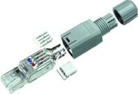 Reichle De-Massari RJ45-Stecker feldkonfektionierbar...