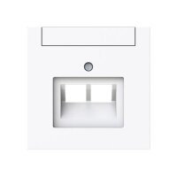 BUSCH-JAEGER Zentralscheibe 1803-02-44G 2-fachUAE...