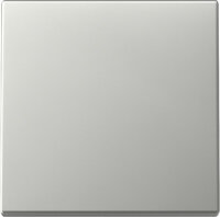 GIRA Wippe 3296600 System 55 Edelstahl