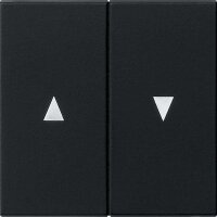 GIRA Wippe 0294005 2 fach Pfeilsymbol System 55 Schwarz matt