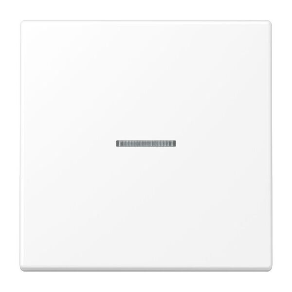 JUNG Wippe LS990KO5WWM f.Schalter/KO Serie LS schneewei&szlig; matt