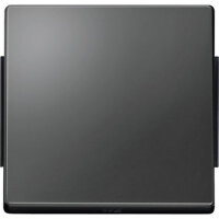 MERTEN Wippe Aquadesign 343114 Wippe anthrazit