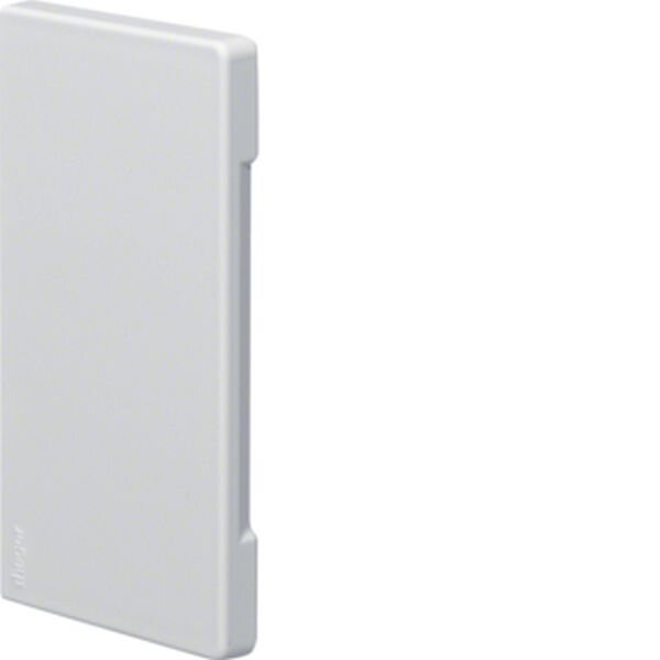 HAGER TEHALIT Endst&uuml;ck BR6513069016 68x130mm hfr verkehrswei&szlig;