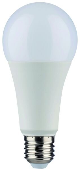 PROT LED-Leuchtmittel LB24 PLED A60 20W Birnenform E27 20W