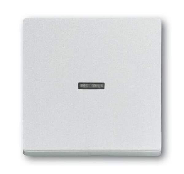 BUSCH-JAEGER Wippe 1789 N-83 transparent aluminiumsilber