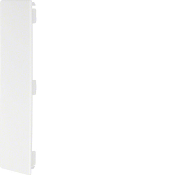 HAGER TEHALIT Endst&uuml;ck LF6023069016 60x230mm verkehrswei&szlig;