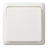 ELSO Taster 502104 10A komplett RENOVIERUNG rw