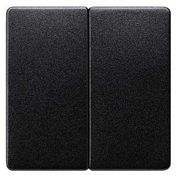 SIEMENS Serienwippe 5TG6225 carbon-metallic
