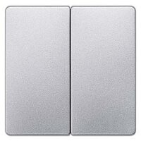 SIEMENS Serienwippe 5TG6245 aluminium-metallic