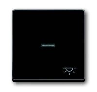 BUSCH-JAEGER Wippe 1789 LI-81 Symbol Licht anthrazit