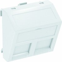 OBO Datentechnikträger DTS-2RM RW1 f. 2 Module Typ...