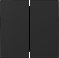 GIRA Wippe 3295005 2f System 55 Schwarz matt (neue...