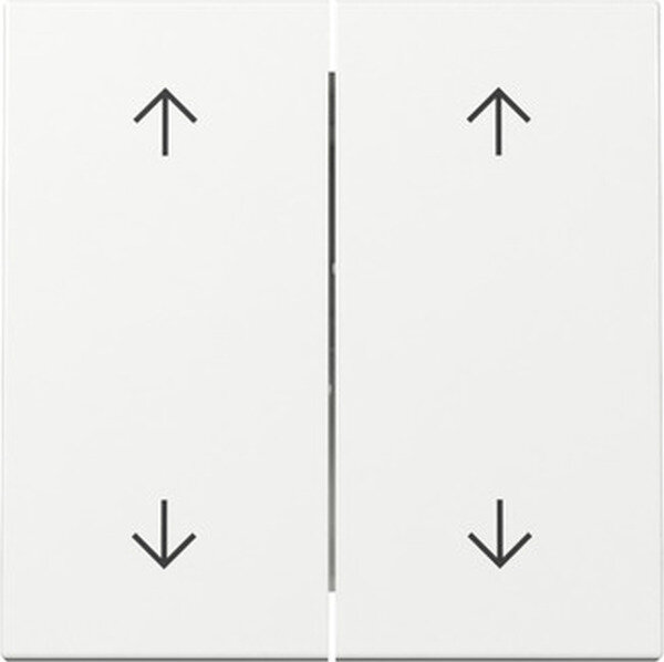 GIRA Wippe 329703 2f Pfeile System 55 Reinwei&szlig; gl&auml;nzend (neue Generation)