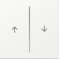 GIRA Wippe 329427 2f Pfeil System 55 Reinweiß...