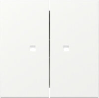 GIRA Wippe 363127 2f Kontrollfenster System 55...