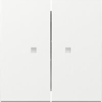 GIRA Wippe 363103 2f Kontrollfenster System 55...