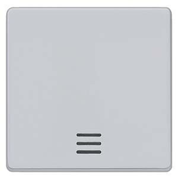 SIEMENS Wippe 5TG6240 alluminium-metallic