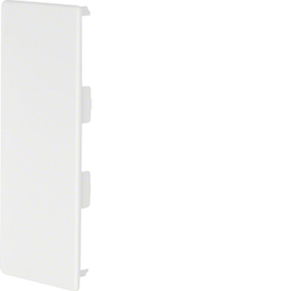 HAGER TEHALIT Endst&uuml;ck LF6015069016 60x150mm verkehrswei&szlig;