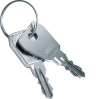 HAGER Ersatzschlüssel VZ304N Volta für Schloss...