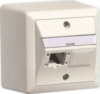 Reichle De-Massari Global Anschlussdose 80x80 leer...