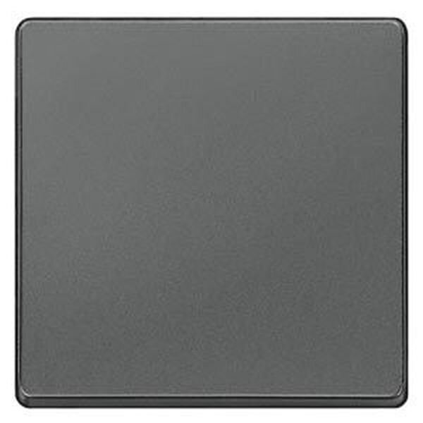 SIEMENS Wippe 5TG6221 carbon-metallig