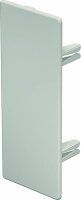 OBO Endst&uuml;ck WDK/HE 60150 60x150mm cremeweiss