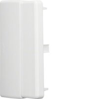 HAGER TEHALIT Endstück LFE6011069016 ASA 60x110mm...