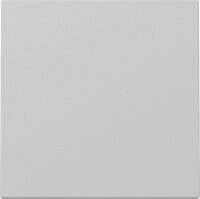 GIRA Wippe 3296015 System 55 Grau matt (lackiert) (neue...