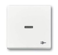 BUSCH-JAEGER Wippe 1789 ST-84 transp.Sym.Stecker...