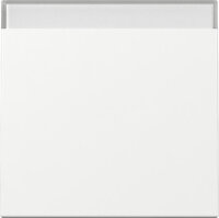 GIRA Wippe 329903 Beschriftungsfeld System 55...