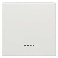 SIEMENS Wippe 5TG7140 titanweiss