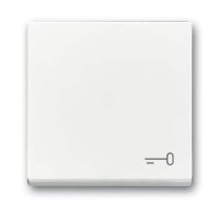 BUSCH-JAEGER Wippe 2520 TR-84 Symbol Schlüssel...
