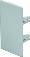 OBO Endst&uuml;ck WDK/HE 60110 60x110mm lichtgrau