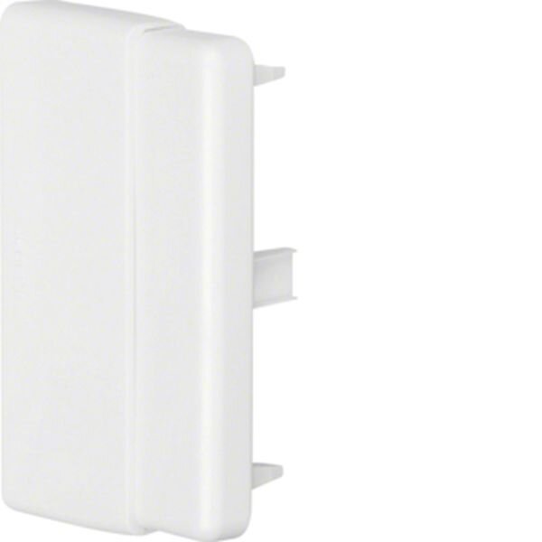 HAGER TEHALIT Endst&uuml;ck LFF6009069016 (40,60)x90mm verkehrswei&szlig;
