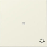 GIRA Wippe 367401 Kontrollf.+Symb.Licht System 55...