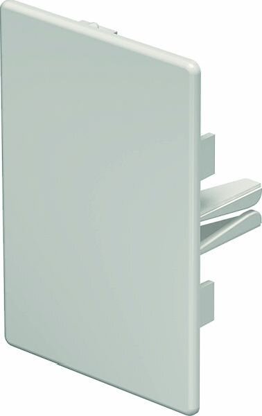 OBO Endst&uuml;ck WDK/HE 60090 60x90mm cremeweiss