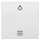 SIEMENS Wippe 5TG6206 mit Symbol titanweiss