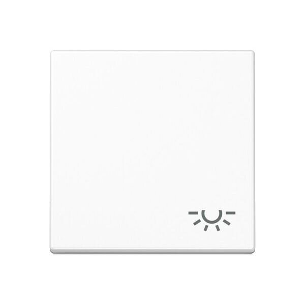 JUNG Wippe A590BFLWW mit Symbol Licht