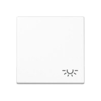 JUNG Wippe A590BFLWW mit Symbol Licht