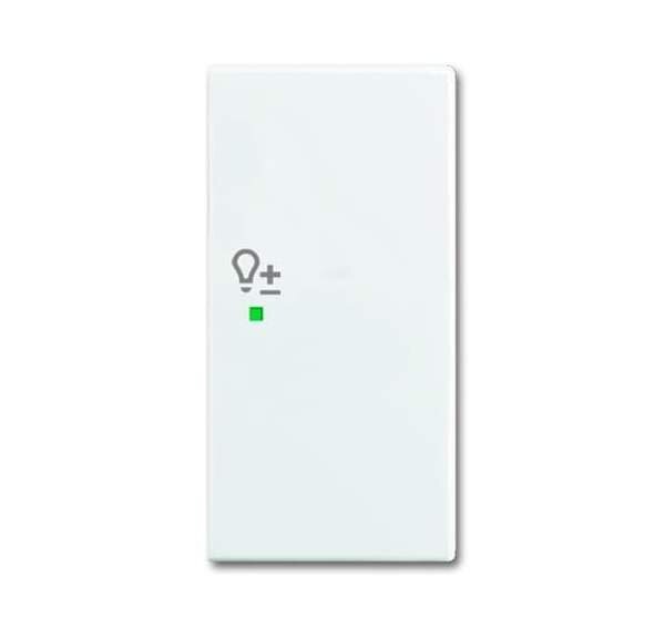 BUSCH-JAEGER Wippe 6234-22-914 2fach Dimmer alpinwei&szlig;